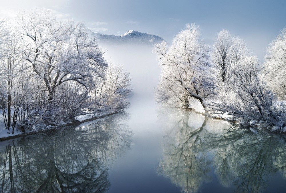 Làn sương mờ ảo phủ trên mặt nước và cây cối ở vùng Bavaria, Đức.