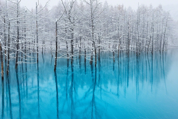 Vẻ đẹp kỳ diệu của Hồ Xanh tráng lệ ở Hokkaido – Nhật Bản
