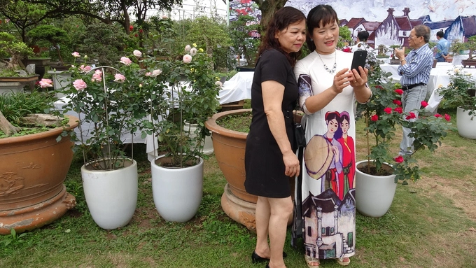 Các du khách hào hứng chụp ảnh những chậu hoa hồng rực rỡ.