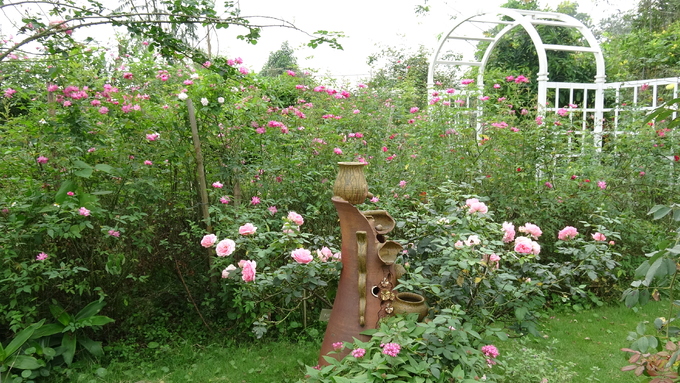 Đây là nơi diễn ra triển lãm Hoa và Nghệ thuật bonsai do Hội cây cảnh nghệ thuật Thăng Long TP Hà Nội kết hợp với trang trại hoa cây cảnh Thăng Long tổ chức.
