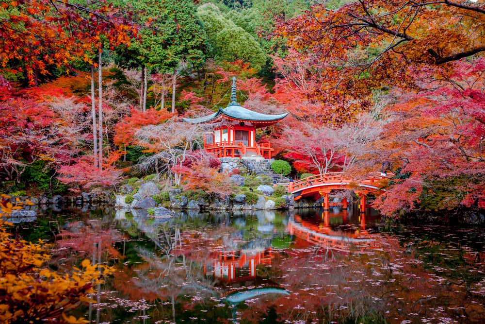 Daigo-ji một ngôi chùa Shingon ở Fushimi-ku, Kyoto, Nhật Bản. Pigprox / Shutterstock