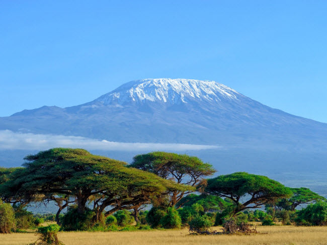 Lớp tuyết trắng trên đỉnh ngọn núi Kilimanjaro có thể sẽ sớm biến mất. Trong thời gian từ 1912 đến 2007, lượng băng tuyết ở đỉnh núi này đã giảm 85%.