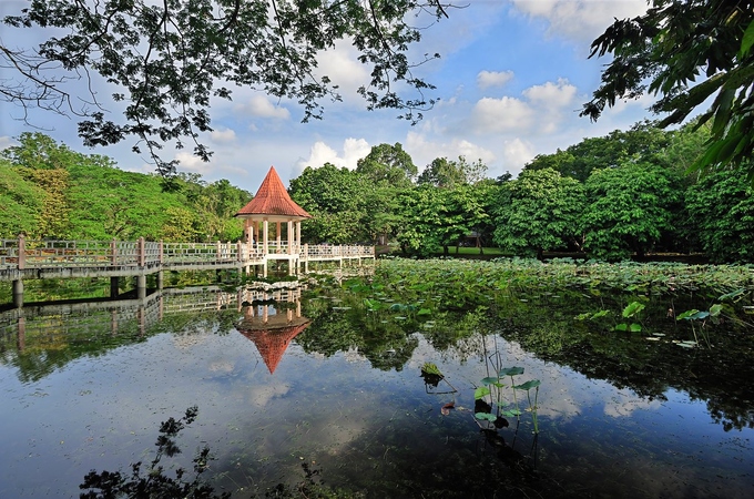 Lake Gardens gần ngoại ô thị trấn là nơi lý tưởng cho du khách chạy bộ hoặc đạp xe qua rừng cây cổ thụ.