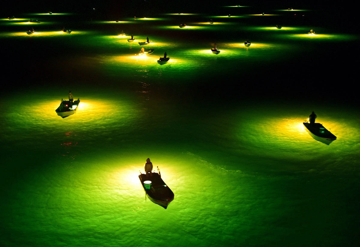 Những người đánh cá đêm, Nhật Bản (Ảnh: The Asahi Shimbun/Getty Images)