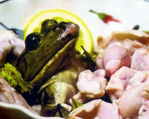 Sashimi ếch (ếch sống) – Nhật Bản