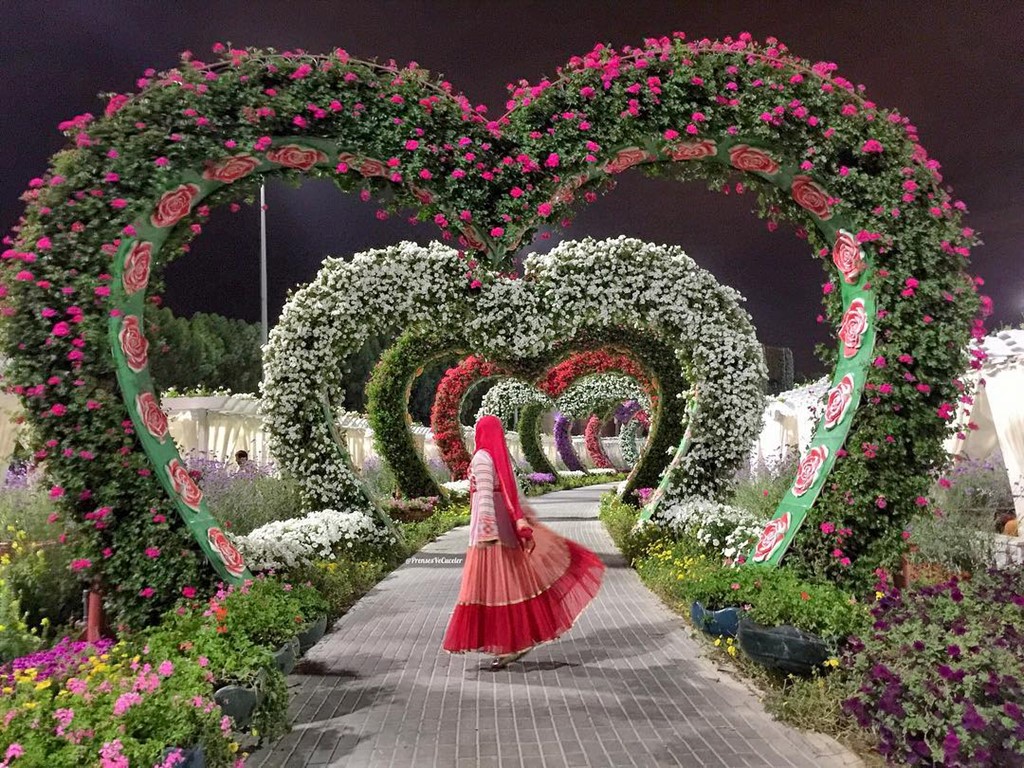 Vòng cộng hoa hồng ở công viên Dubai Miracle Garden Dubai