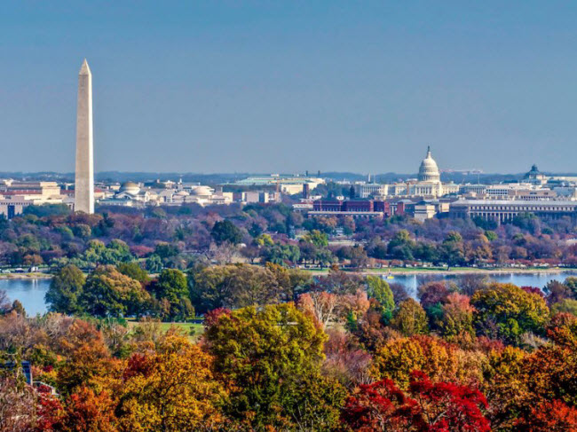 Washington D.C, Mỹ: Hãy quên màu hoa anh đào rực rỡ vào mùa xuân và trải nghiệm sắc vàng và đỏ nhuộm thủ đô nước Mỹ vào mùa thu.