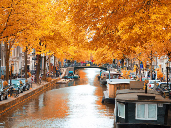 Amsterdam, Hà Lan: Cảnh sắc màu thu ở thành phố Amsterdam đẹp đến mức khiến du khách không quan tâm tới việc ngày ở đây chỉ kéo dài 9 giờ vào thời gian này trong năm. Cách lý tưởng nhất để khám phá thành phố là đạp xe dọc các con kênh.