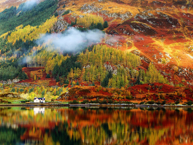Highlands, Scotland: Vùng Highlands là một trong những nơi có phong cảnh đẹp nhất ở Scotland. Mùa thu là thời điểm lý tưởng nhất để chiêm ngưỡng động vật hoang dã như hươu, hải cẩu xám và thiên nga tại khu vực này.