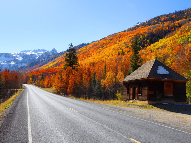 Đường Million Dollar, bang Colorado, Mỹ: Khu cảnh mùa thu tại bang Colorado thực đẹp, với những hàng cây dương dọc tuyến đường Million Dollar chuyển sang màu đỏ, cam và vàng.