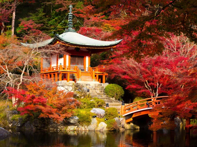 Kyoto, Nhật Bản: Kyoto từng được hai lần được tạp chí du lịch Travel + Leisure bình chọn là thành phố đẹp nhất thế giới. Nơi đây nổi tiếng với ẩm thực, những ngôi đền cổ và phong cảnh mùa thu đẹp mê hồn.