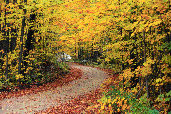Đường Núi Xanh, bang Vermont, Mỹ: Vermont là chén thánh của sắc màu thu ở miền đông nước Mỹ vì 80% diện tích bang này được bao phủ bởi rừng.