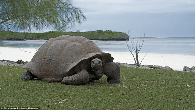 Đảo san hô Aldabra, Cộng hòa Seychelles