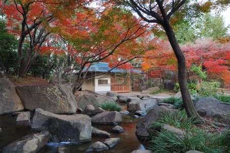 Vườn cây ở Tokyo