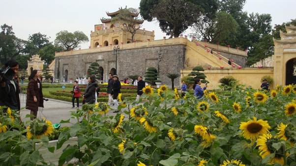 Rất đông khách tham quan chiêm ngưỡng vườn hoa.