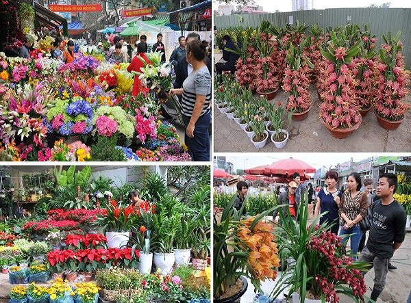 Chợ hoa truyền thống trên đường Lạc Long Quân