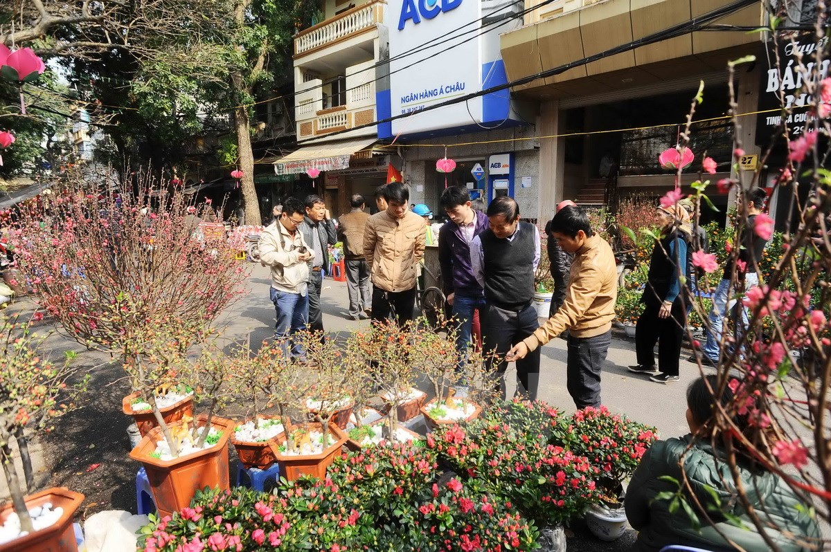 Chợ hoa truyền thống trên Hàng Lược