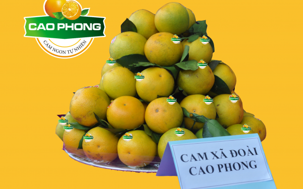 Cam Cao Phong - Hòa Bình
