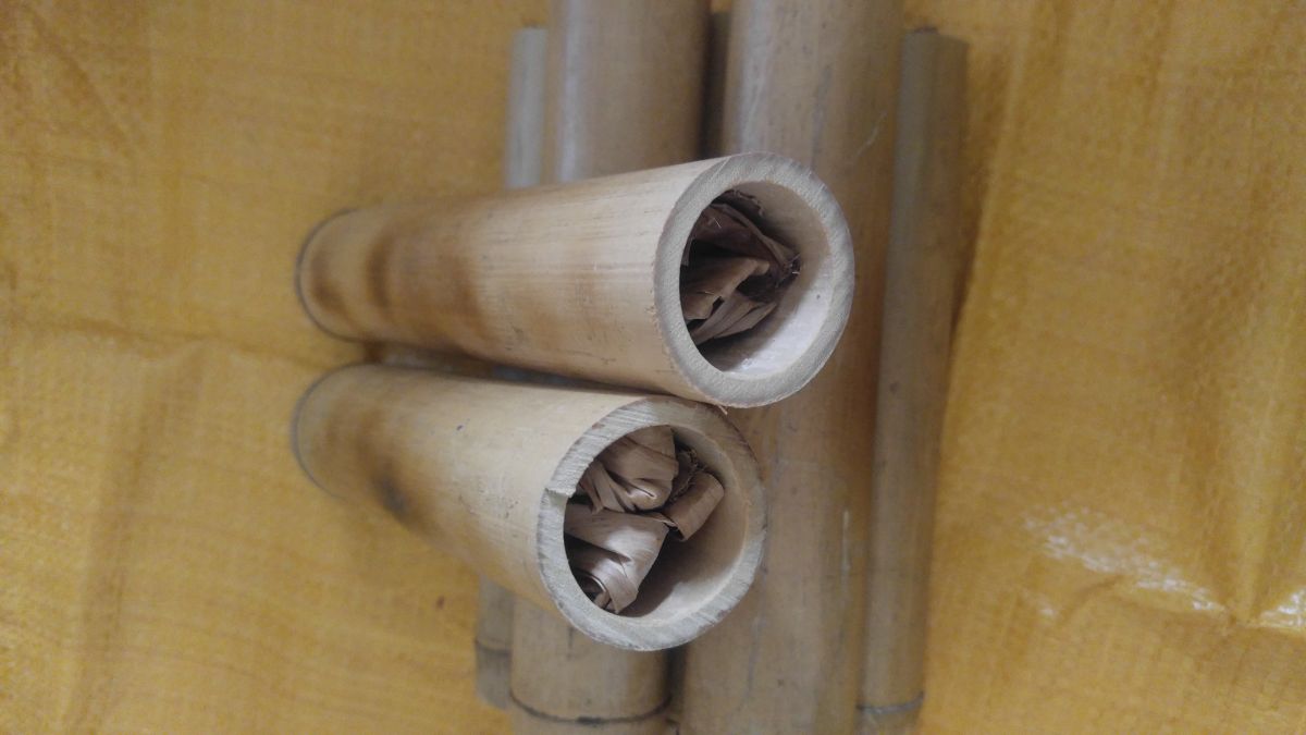 Chè lam ống nứa - một đặc sản ít được biết của người Dao.