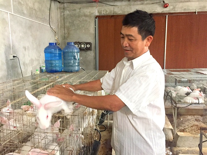HTX nuôi thỏ của ông Long mỗi năm thu về hơn 1 tỷ đồng