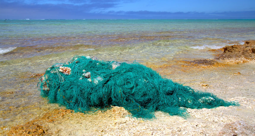 Lưới đánh cá cũng là thủ phạm gây ô nhiễm môi trường.