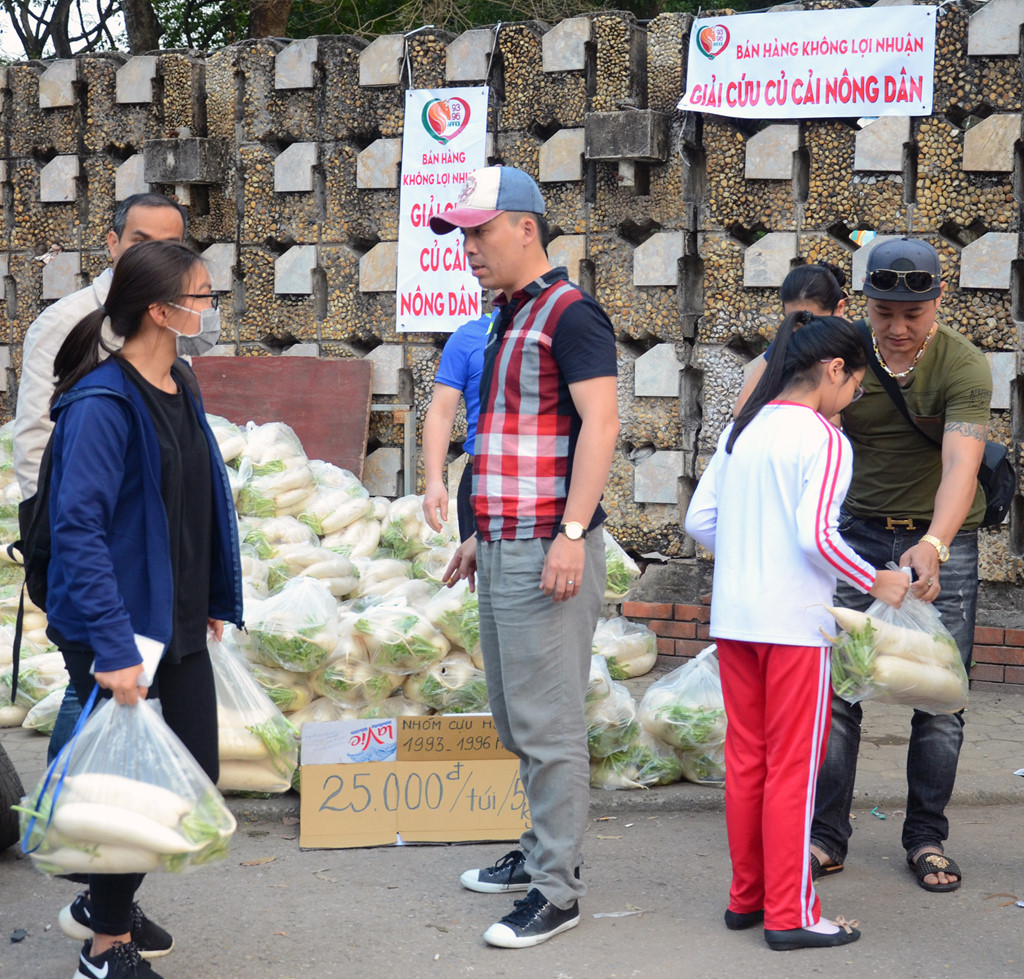 Củ cải được giải cứu khắp đường phố Hà Nội.