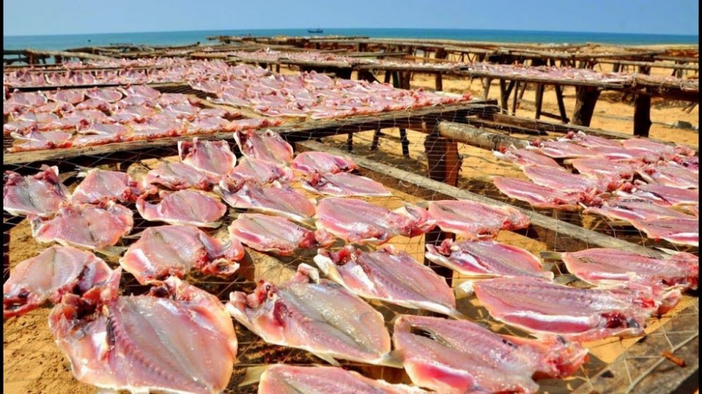 Cá khô là loại thực phẩm được bán rộng rãi trên thị trường