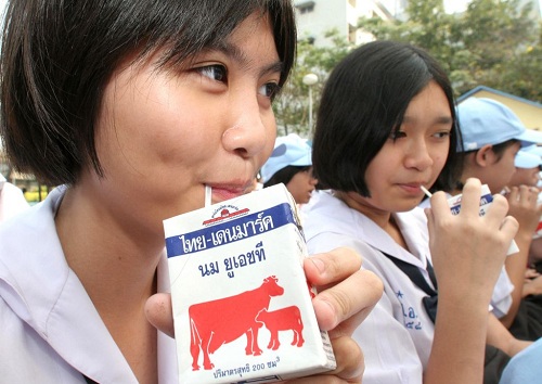 Chương trình sữa học đường ở Thái Lan góp phần giúp tiêu thụ sản phẩm sữa địa phương. Ảnh: Bangkok Post