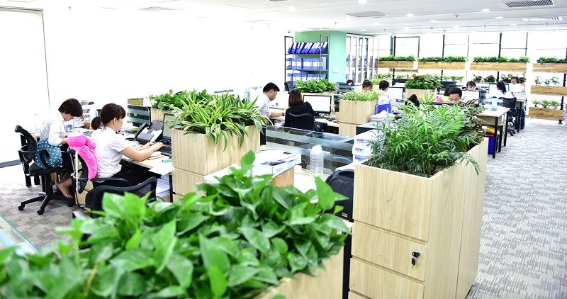 Nhân tố xanh tạo nên sự khác biệt cho cho cao ốc văn phòng