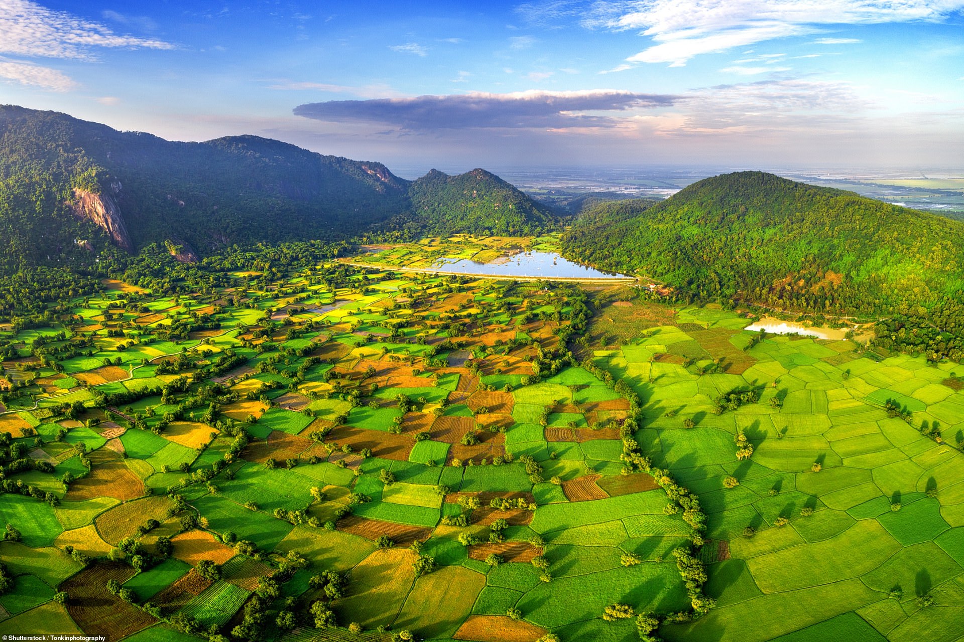 Còn đây là những bức ảnh cánh đồng lúa ở Đồng bằng Sông Cửu Long, giống như một tấm chăn chắp vá.