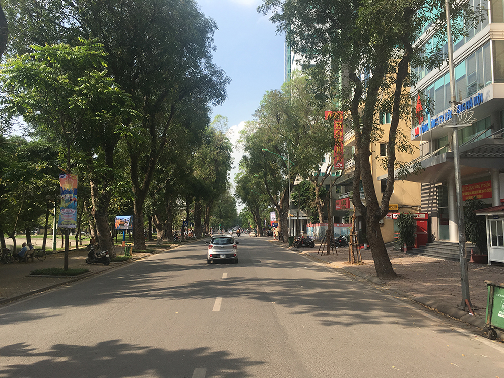 Một mình một đường trên đường Quang Trung.