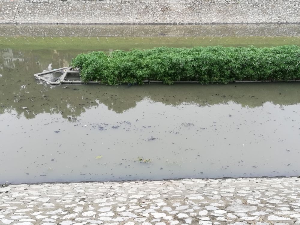 chất thải trôi nổi chảy trên sông Tô Lịch