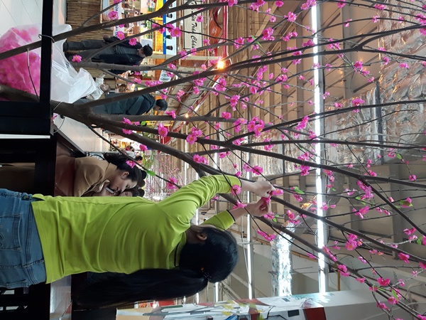 Không khí năm mới tràn ngập phố phường Hà Nội. Các trung tâm thương mại cũng trang trí hoa đào, hoa mai, bài trí hàng hóa màu sắc rất bắt mắt (ảnh N.Hạnh)