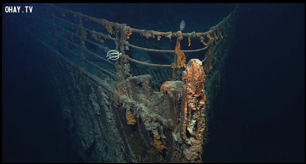 Hình ảnh con tàu nằm sâu dưới đáy đại dương