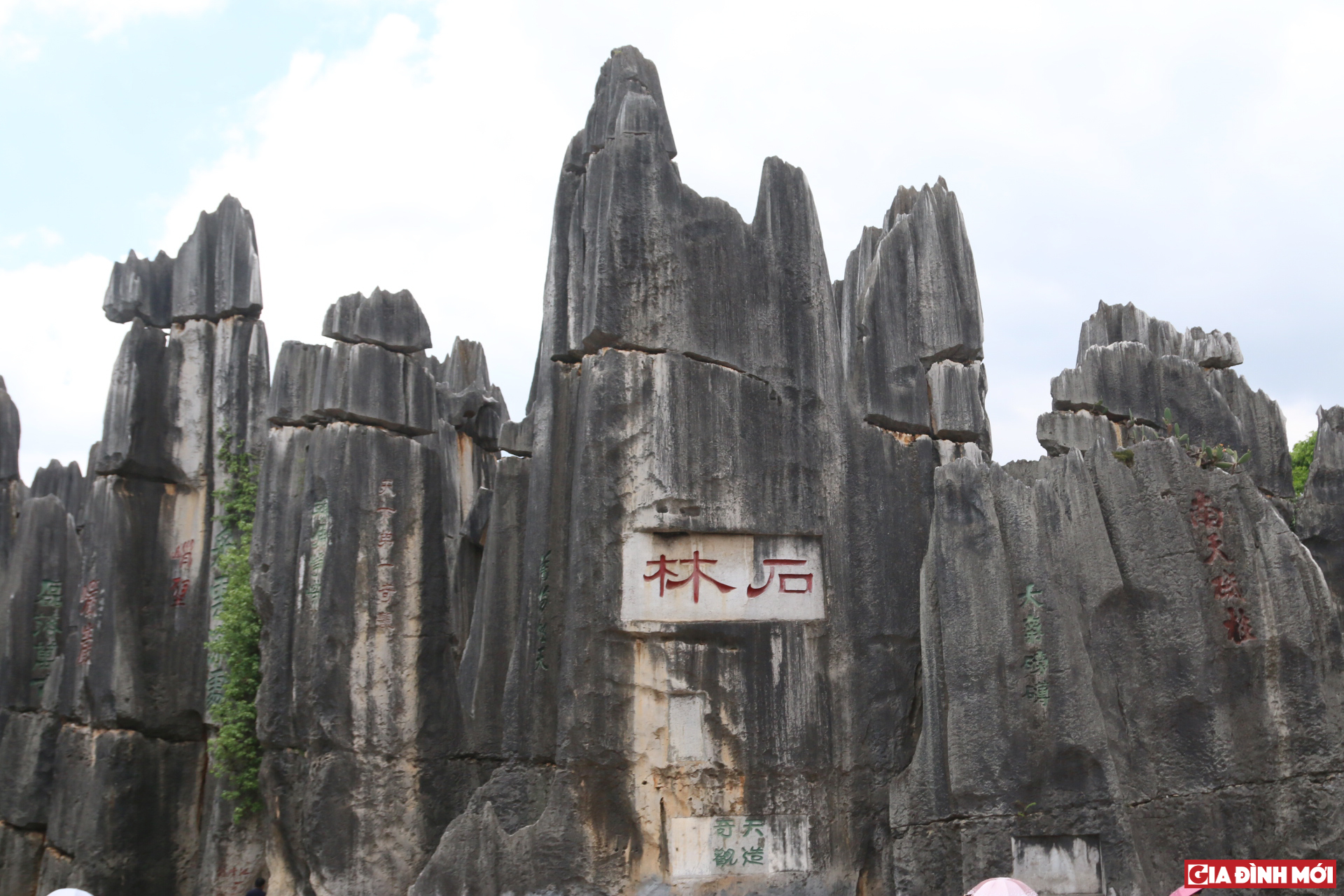 Nhiều cột đá với hình dạng khác nhau nhấp nhô phun lên trời
