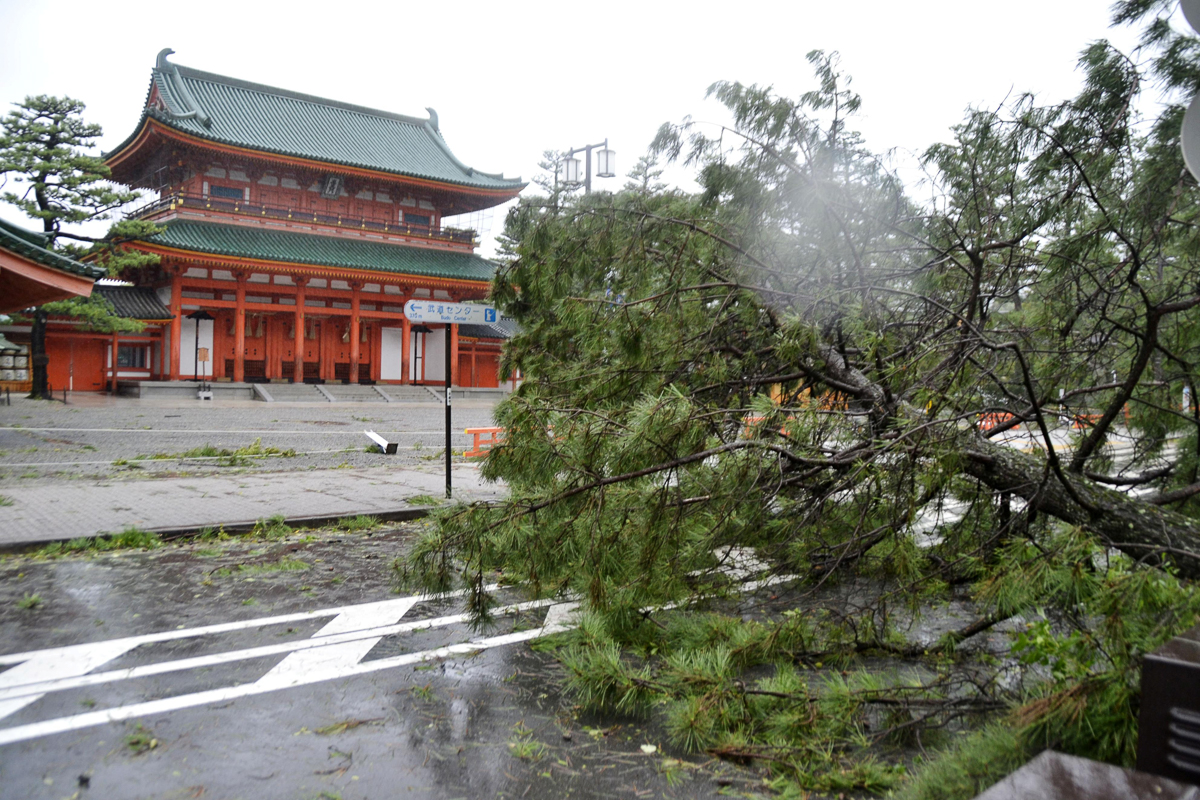 Cận cảnh Nhật Bản tan hoang sau siêu bão: Nhà bay nóc, tàu đâm cầu, xe nằm la liệt 3