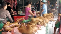 Hà Nội dự kiến cấm bán thịt chó từ năm 2021
