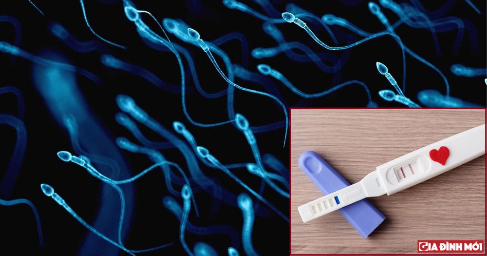 Các nhà khoa học Thụy Sĩ phát hiện thời điểm tinh trùng khỏe mạnh nhất sau khi nghiên cứu hơn 7.000 nam giới trong độ tuổi sinh sản  