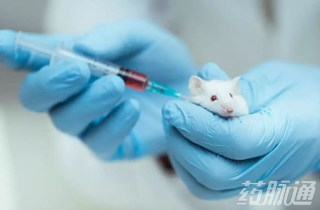 Thử nghiệm vaccine đối với chuột tỷ lệ thành công tới 97%.