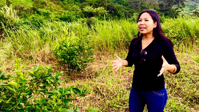 Tyna Giang sở hữu 5 trang trại hữu cơ được chứng nhận quốc tế với tổng diện tích hơn 50 ha