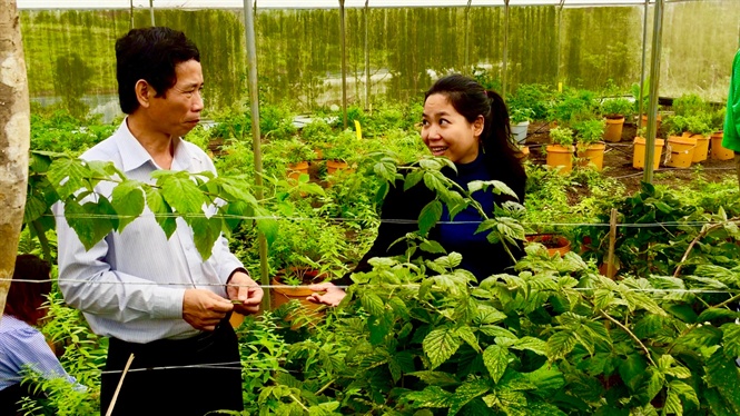 Nhờ có dự án phát triển nông nghiệp hữu cơ ứng dụng công nghệ cao, Tyna Giang đã được Agribank cho vay 12 tỷ đồng