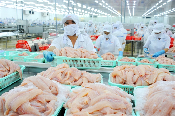 Xung đột thương mại Mỹ - Trung được dự báo sẽ có lợi cho ngành thủy sản Việt Nam