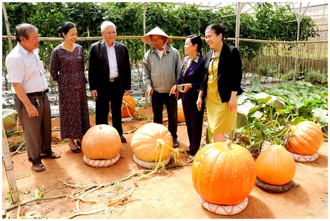 Nhà nông Lê Hữu Phan trao đổi kinh nghiệm