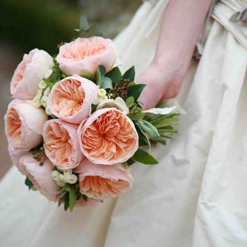 Do sở hữu vẻ đẹp kiêu sa, mùi thơm nhẹ nhàng quyến rũ, dáng hoa khum, cánh hoa xếp đều, bông hồng Juliet rất phù hợp để trang trí trong đám cưới.