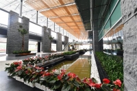 Người thiết kế sân bay Vân Đồn nói gì về công trình biểu tượng của Quảng Ninh?