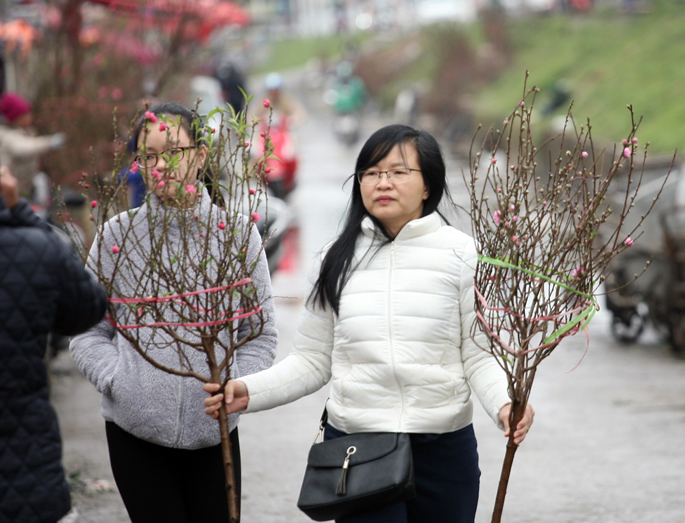 Tại chợ hoa Quảng An (Tây Hồ - Hà Nội) trưa ngày 31/12, hàng trăm người từ khắp nơi đổ về tranh thủ mua những cành đào nở sớm về cắm dịp Tết Dương lịch.