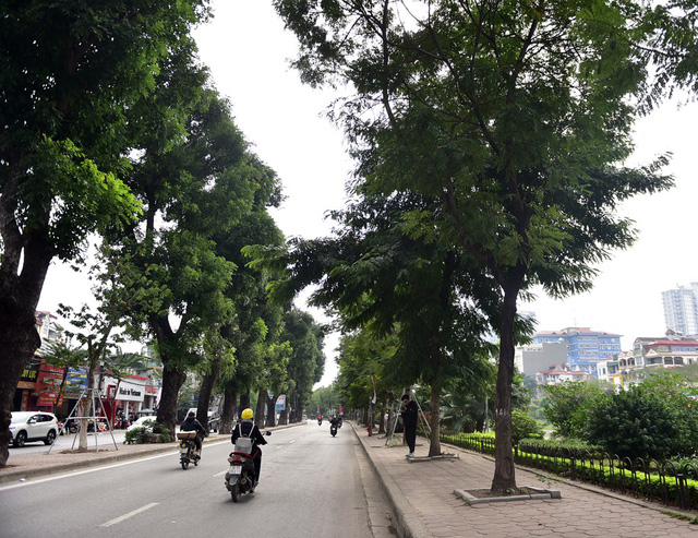  Dự án mở rộng, hạ cây xanh đường Láng nằm trong 4 đề án được sở GTVT Hà Nội triển khai dịp cuối năm nhằm giảm thiểu ùn tắc giao thông. 
