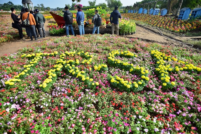 ngo ngang ngam ban do viet nam lam tu 150000 cay hoa day mau sac