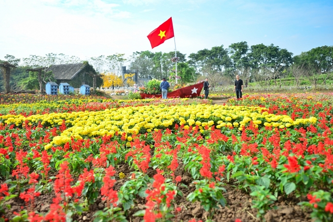 ngo ngang ngam ban do viet nam lam tu 150000 cay hoa day mau sac