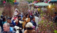 Hà Nội: Tổ chức 64 điểm chợ hoa Xuân phục vụ Tết Nguyên đán Kỷ Hợi